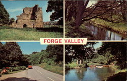 Various Views of the Forge Valley Postcard