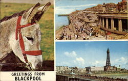 Greetings from Blackpool, With View of Cliffs and Promenade United Kingdom Lancashire Postcard Postcard
