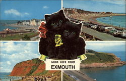 Good Luck - Various Views of Town Postcard