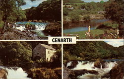 Views of Cenarth, Including The Waterfalls and the River Teifi Postcard