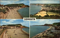 Various Coastal Views Postcard