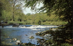 The River Dart - Dartmoor Postcard