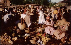 Market Scene Postcard
