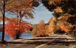 Country Road with Fall Foliage Postcard