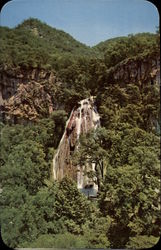 Horse Tail Falls Santiago, Mexico Postcard Postcard