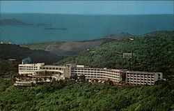 Stock #280736 Thumbnail