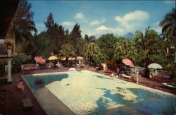 Stock #280800 Thumbnail