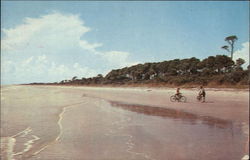 View of Beach & Pine Trees Hilton Head Island, SC Postcard Postcard