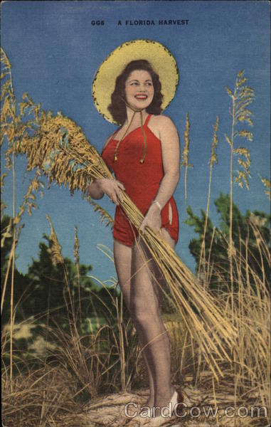 A Florida Harvest Swimsuits & Pinup