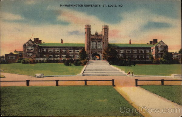 Washington University St. Louis Missouri