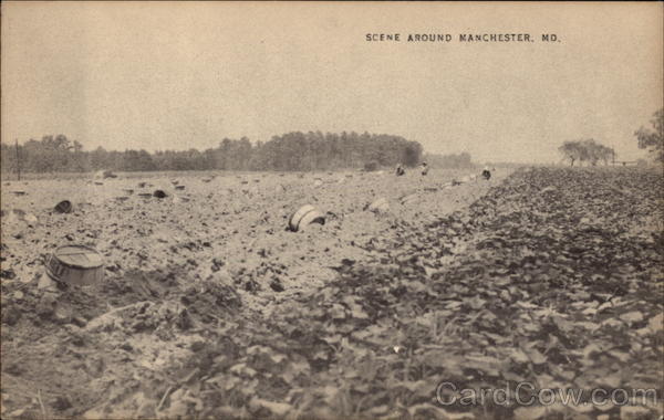 Rural Scene Manchester Maryland