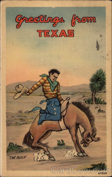 Greetings from Texas Cowboy Western