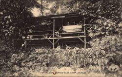 Overlook, Bonnie Oaks Camp, Lake Morey Fairlee, VT Postcard Postcard