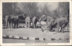 Elephant Act, St. Louis Zoo Postcard