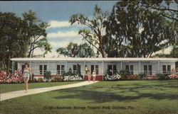 Sanlando Springs Tropical Park Postcard