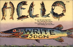 Hello, Write Soon Postcard