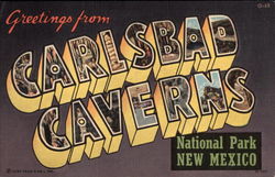 Greetings from Carlsbad Caverns National Park Postcard