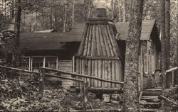 Tree Tops Cabin, Long Trail Lodge of the Green Mountain Club Postcard