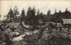 Bungalows, Bartlett Carry Club Saranac Lake, NY Postcard Postcard