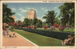 Flamingo Hotel Postcard