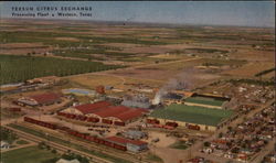 Texsun Citrus Exchange Processing Plant Weslaco, TX Postcard Postcard