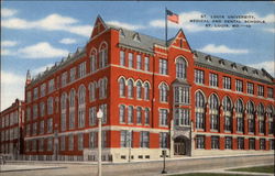 Medical and Dental Schools St. Louis, MO Postcard Postcard