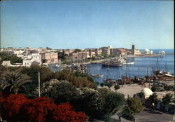 View of the Town Postcard