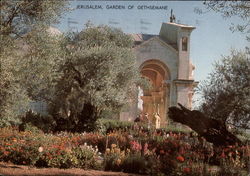 Basilica and Gardens of Gethsemane Postcard