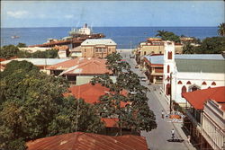 Aerial View of Ceiba Postcard