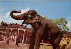Srirangam Temple Postcard