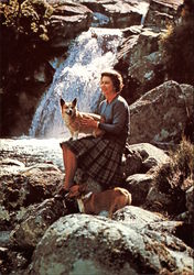 Stock #282205 Thumbnail