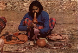 A snake charmer Postcard