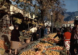 Fruit Market Postcard