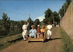 Carro do Monte - Hill Cart Postcard