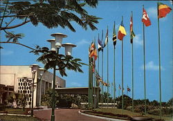 Cite de l'O.U.A Postcard