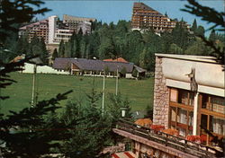 General View Postcard
