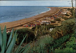 Playa del Ingles Postcard