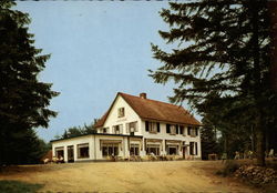 Anastasius Hotel & Restaurant Postcard