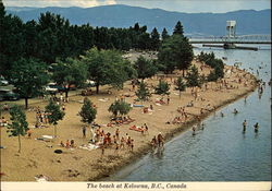 View of the Beach Postcard