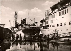 SS. America Postcard