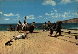 Hauling the Fishing Nets Postcard
