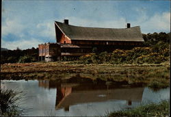The Ark - Kenya's Forest Lodge Postcard