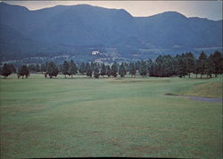 Fujiya Hotel Resort in Japan, With View of Golf Course Postcard