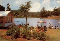 Boating Club Postcard