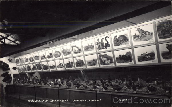 Wildlife Exhibit Paris Michigan