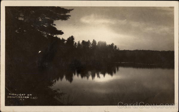 Moonlight on Brantingham Lake New York