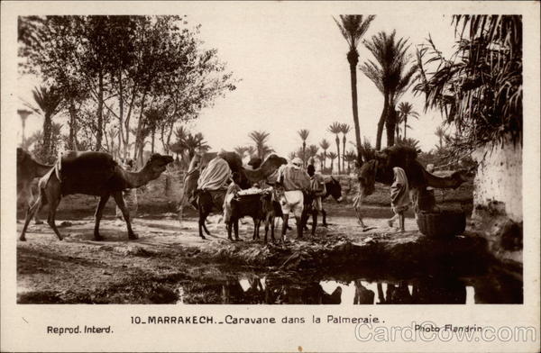 Caravane dans la Palmeraie Marrakesh Morocco Flandrin