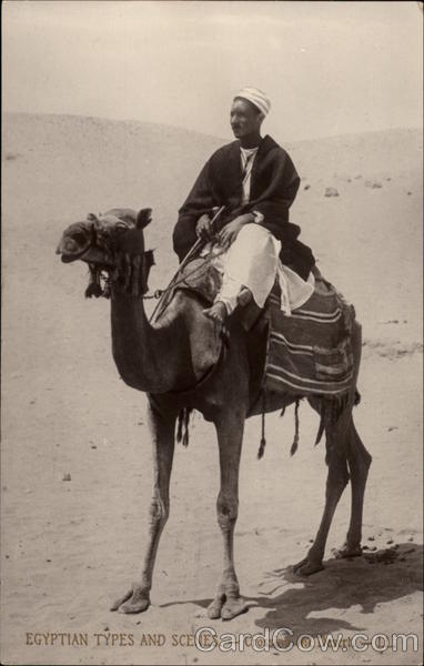 Egyptian Types and Scenes - Crossing the Desert Africa
