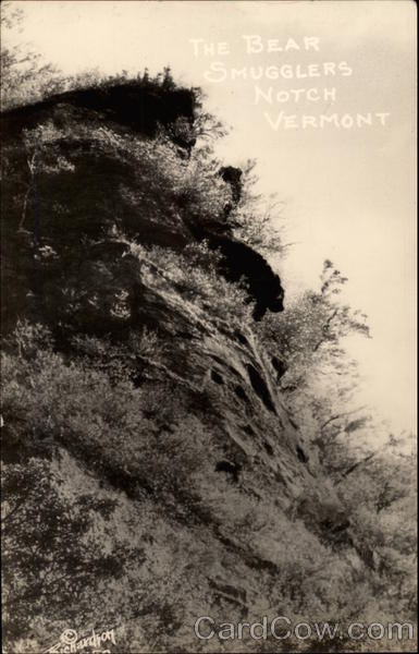 The Bear, Smugglers Notch Jeffersonville Vermont