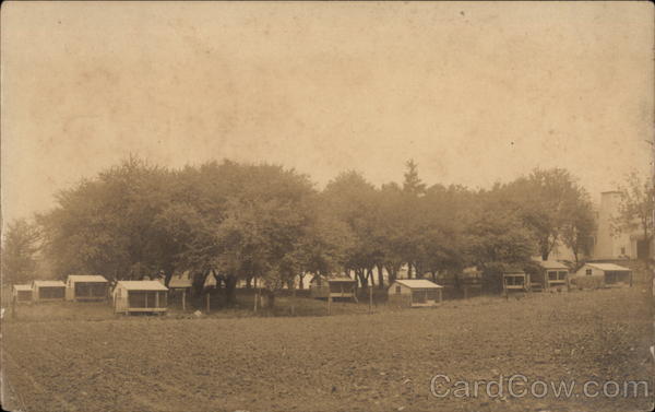 Colony Houses, Canus Road Farm Seville Farming